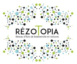 Rezotopia.quadri