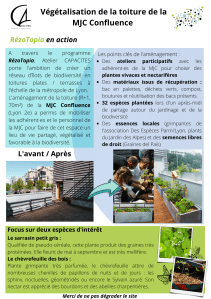 Exemple d'une affiche de l'aménagement de la toiture de la MJC de la Confluence (Lyon 2e)